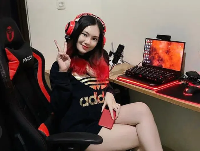 Penulis Alexavegas